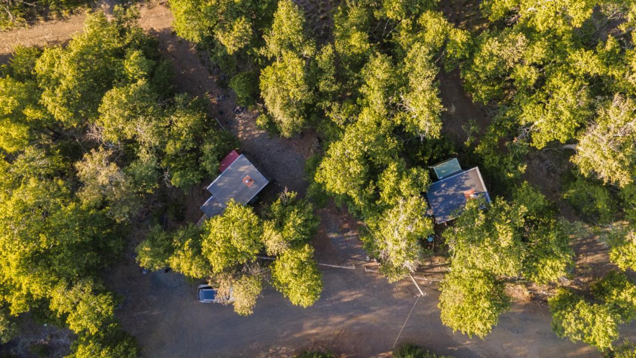 Andromeda Lodge Las Trancas Dış mekan fotoğraf