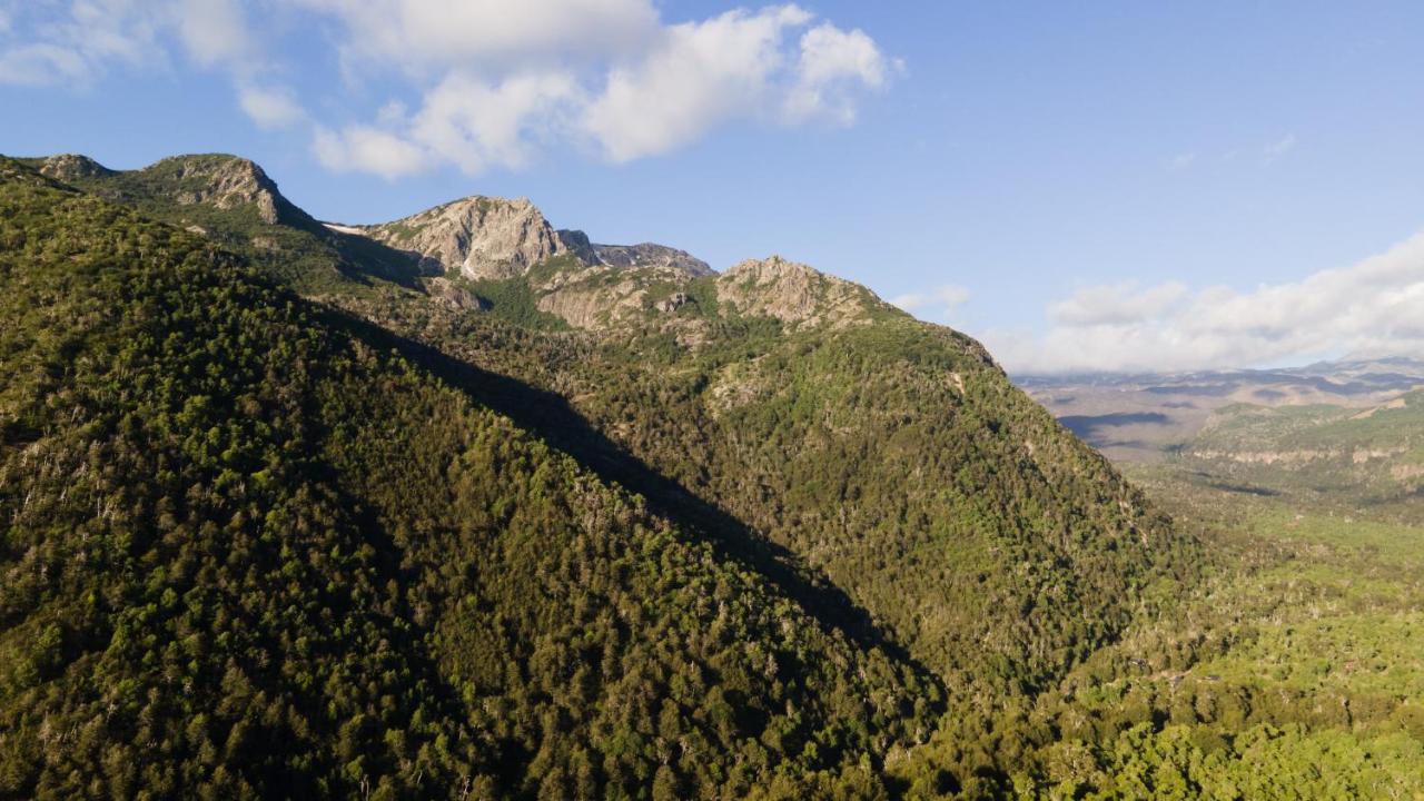 Andromeda Lodge Las Trancas Dış mekan fotoğraf