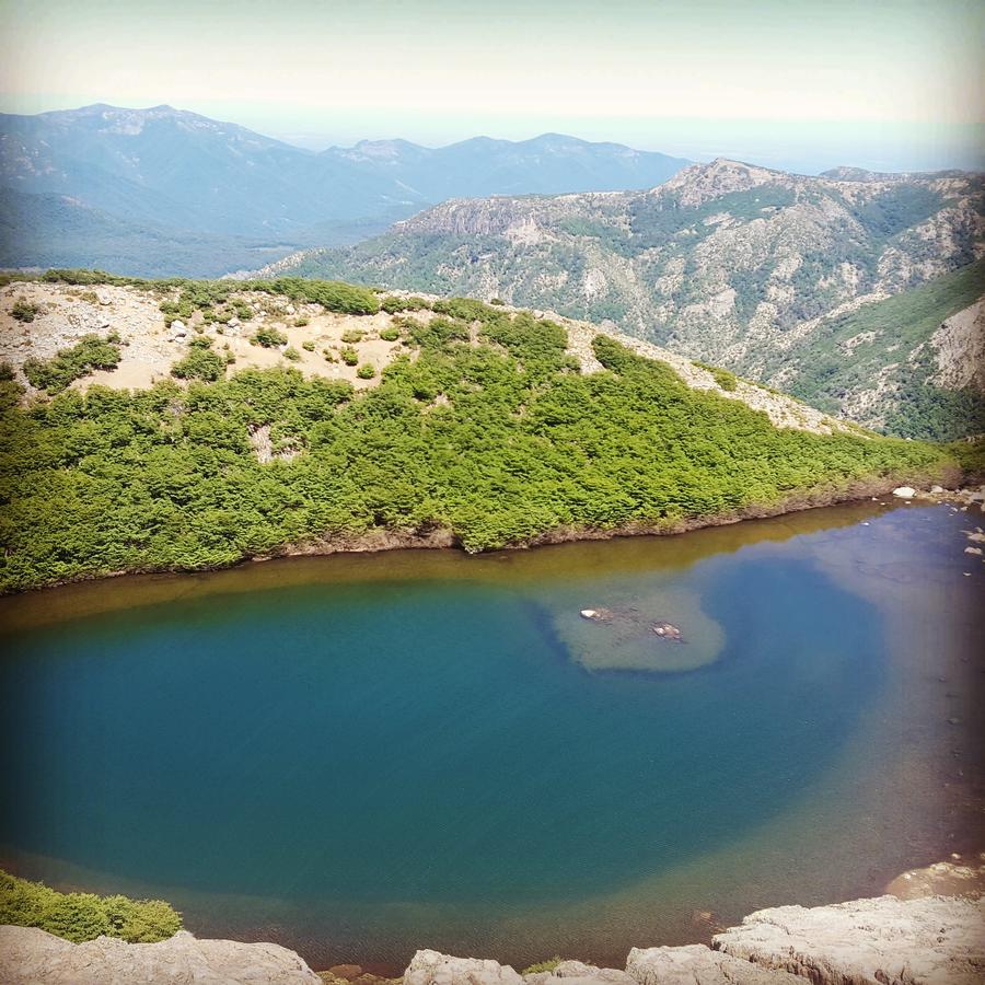 Andromeda Lodge Las Trancas Dış mekan fotoğraf