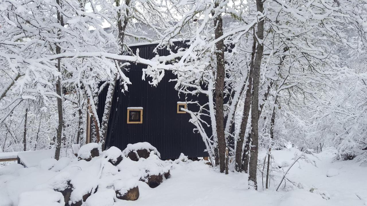 Andromeda Lodge Las Trancas Dış mekan fotoğraf