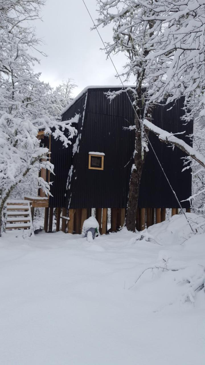 Andromeda Lodge Las Trancas Dış mekan fotoğraf